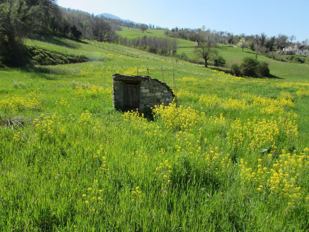 Il Gelso Room&Breakfast Pennabilli Exterior photo
